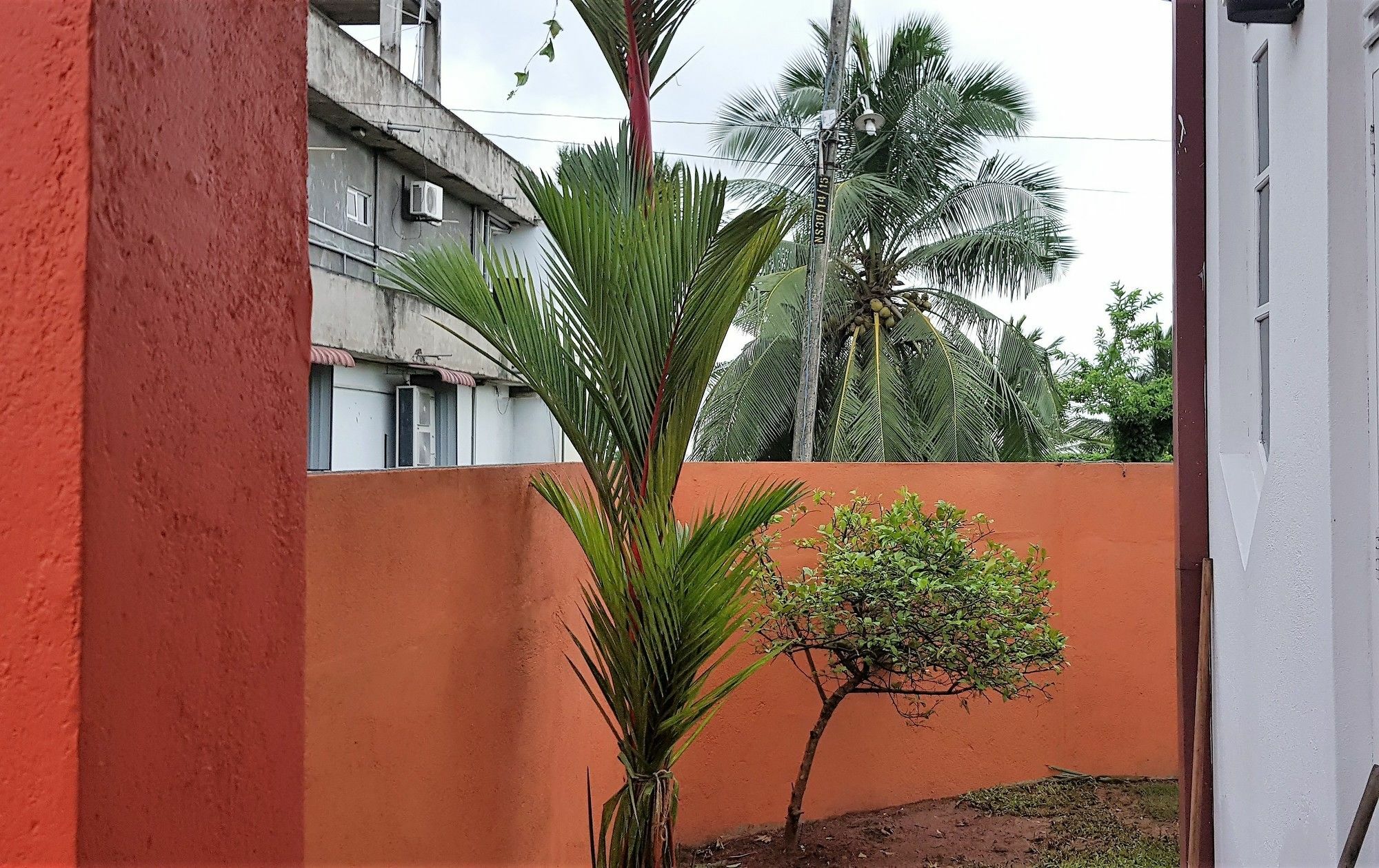 Yoyo Airport Hostel Negombo Exterior foto