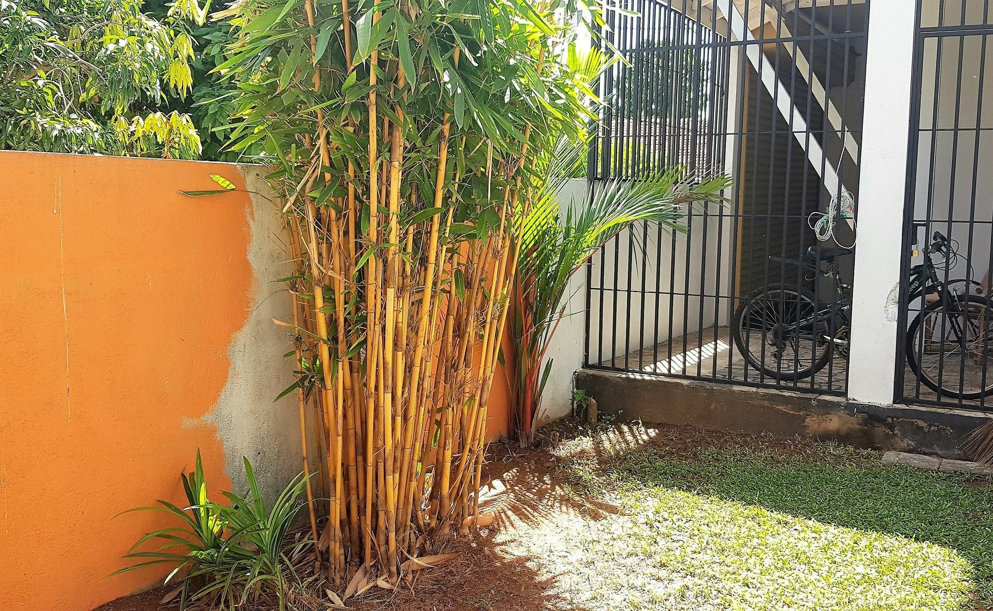 Yoyo Airport Hostel Negombo Exterior foto